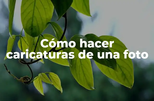 Cómo Hacer Caricaturas de una Foto