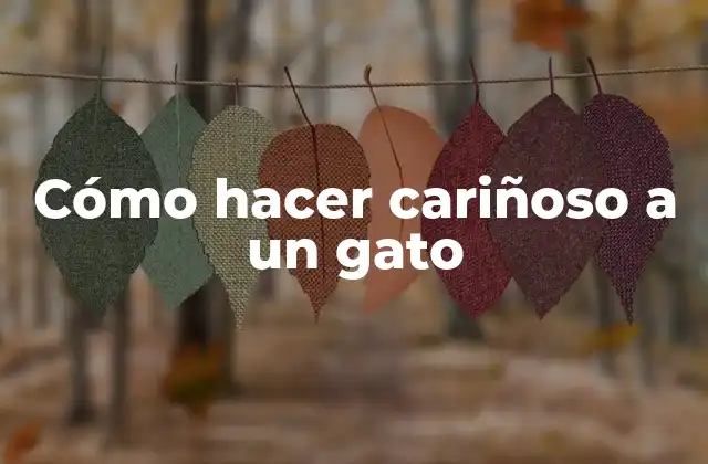 Cómo Hacer Cariñoso a un Gato