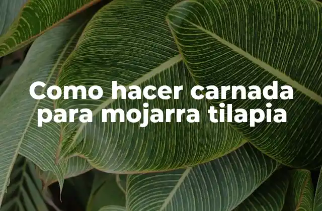 Como Hacer Carnada para Mojarra Tilapia