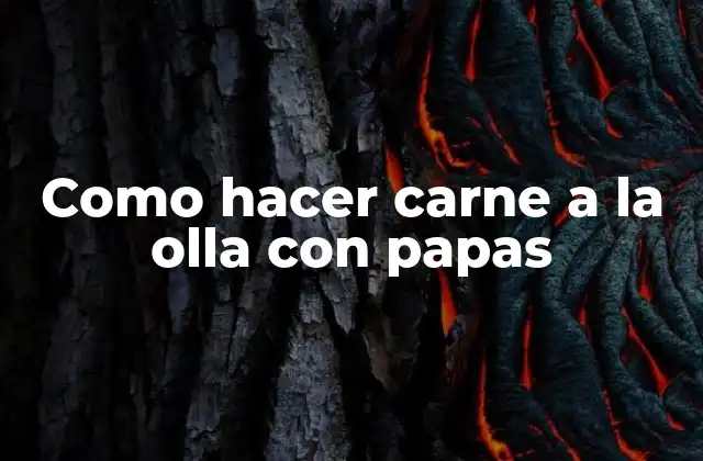 Como Hacer Carne a la Olla con Papas