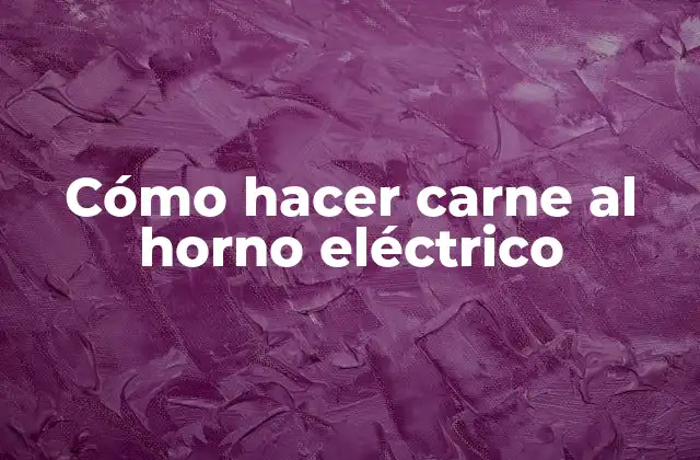 Cómo Hacer Carne Al Horno Eléctrico