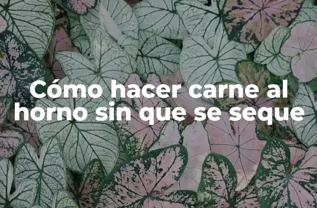 Cómo hacer carne al horno sin que se seque