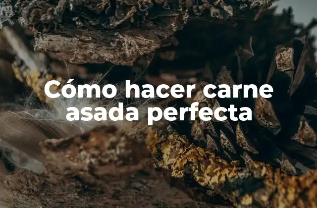 Carne asada perfecta: ¿qué es y para qué sirve?