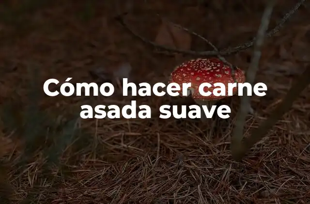 Cómo Hacer Carne Asada Suave