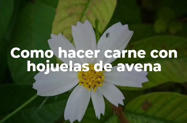 Como Hacer Carne con Hojuelas de Avena