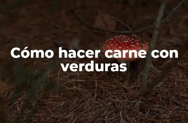 Cómo Hacer Carne con Verduras
