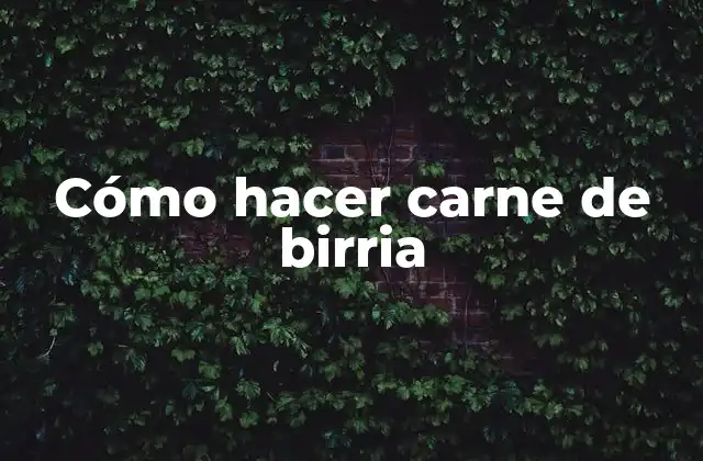 Cómo Hacer Carne de Birria