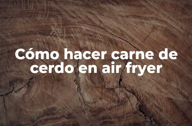 Cómo Hacer Carne de Cerdo en Air Fryer