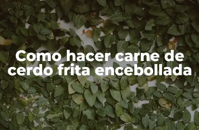 Como Hacer Carne de Cerdo Frita Encebollada 2 Carne de cerdo frita encebollada: qué es y para qué sirve