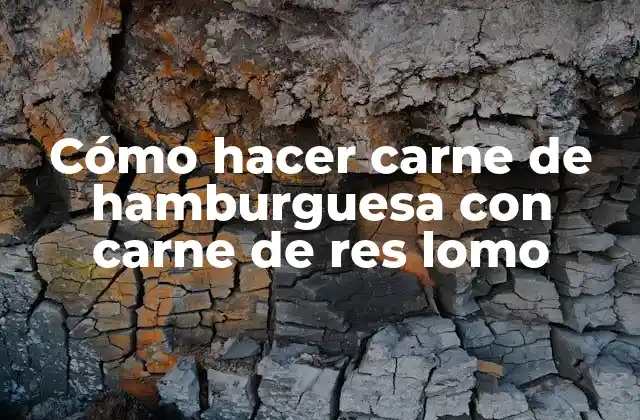 Cómo Hacer Carne de Hamburguesa con Carne de Res Lomo