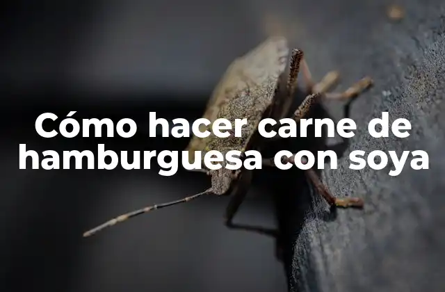 Cómo Hacer Carne de Hamburguesa con Soya