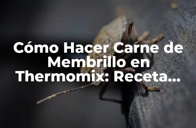 Cómo Hacer Carne de Membrillo en Thermomix: Receta Fácil y Deliciosa