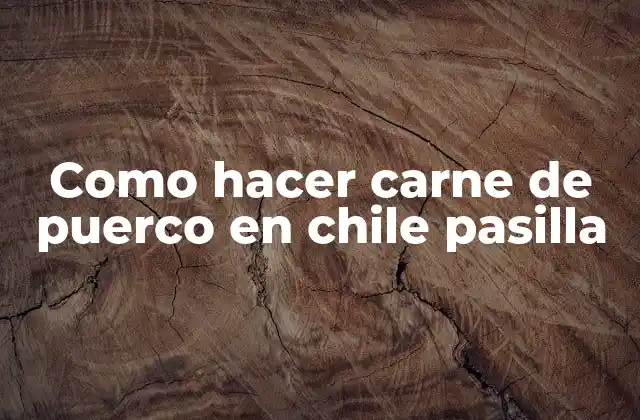 Como Hacer Carne de Puerco en Chile Pasilla