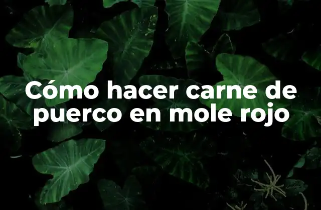 Cómo Hacer Carne de Puerco en Mole Rojo