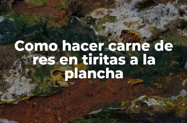 Como Hacer Carne de Res en Tiritas a la Plancha 2 Carne de res en tiritas a la plancha