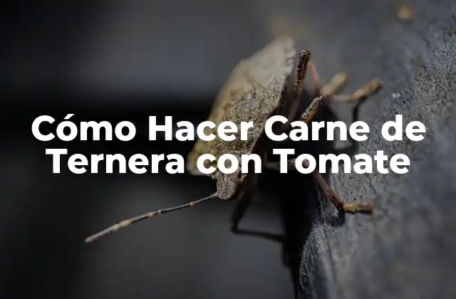 Cómo Hacer Carne de Ternera con Tomate