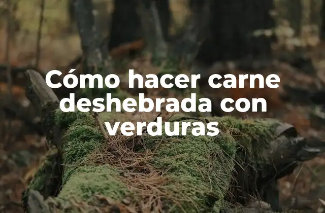 Cómo Hacer Carne Deshebrada con Verduras