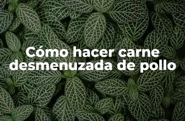 Cómo Hacer Carne Desmenuzada de Pollo