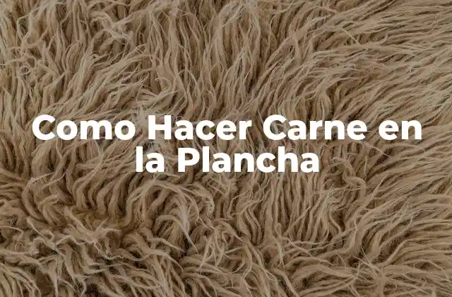 Como Hacer Carne en la Plancha