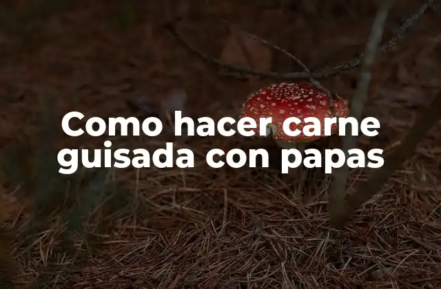 Como Hacer Carne Guisada con Papas