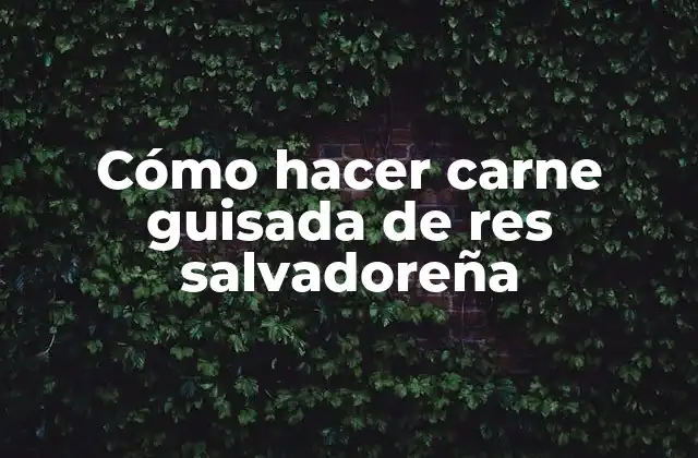Cómo Hacer Carne Guisada de Res Salvadoreña