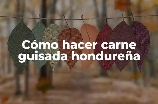 Cómo Hacer Carne Guisada Hondureña