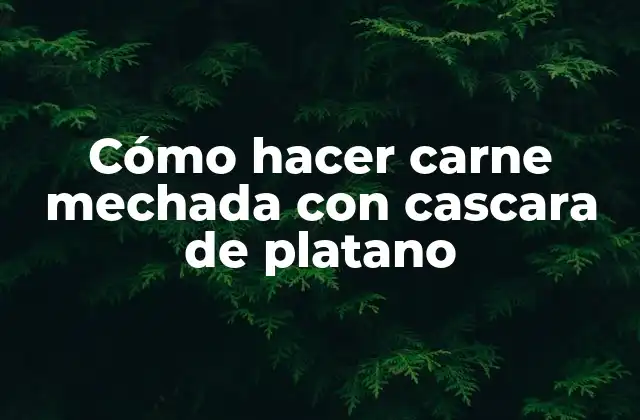 Cómo Hacer Carne Mechada con Cascara de Platano