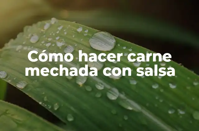 Cómo Hacer Carne Mechada con Salsa