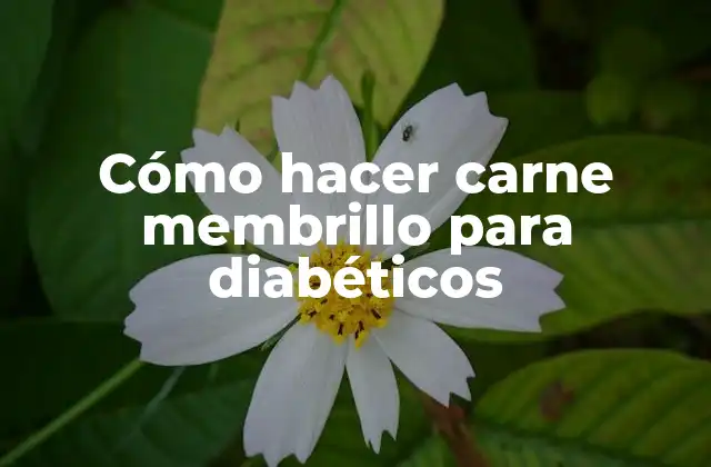 Cómo Hacer Carne Membrillo para Diabéticos