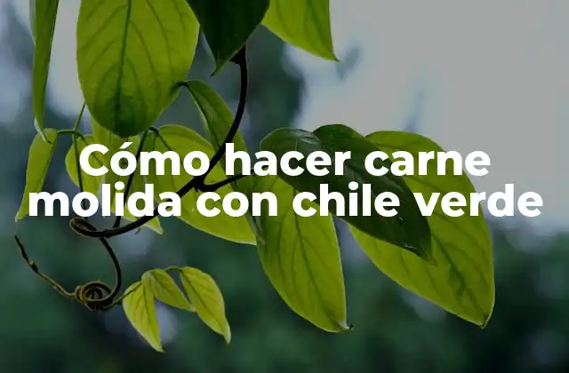 Cómo Hacer Carne Molida con Chile Verde