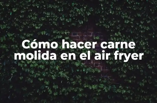 Cómo Hacer Carne Molida en el Air Fryer