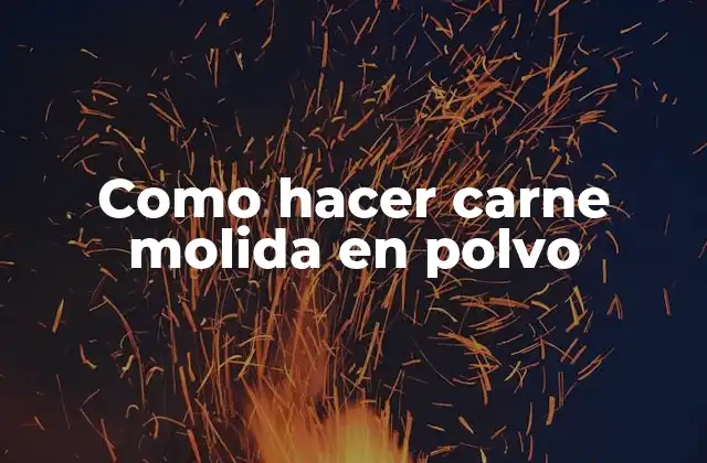 Como Hacer Carne Molida en Polvo