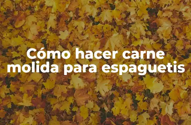 Cómo Hacer Carne Molida para Espaguetis