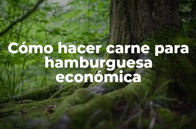 Cómo Hacer Carne para Hamburguesa Económica