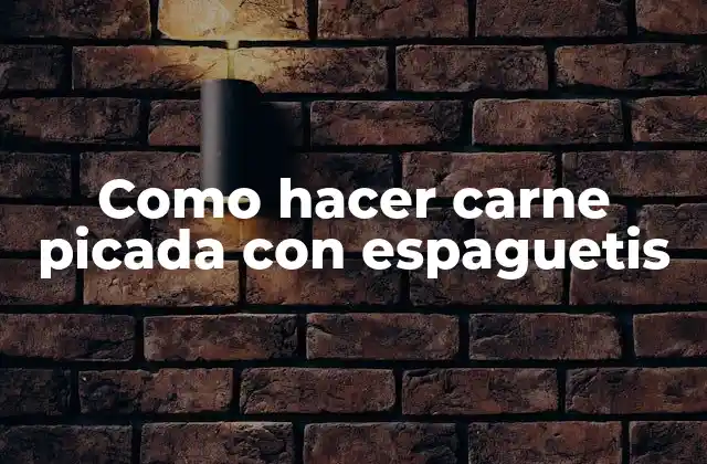 Como Hacer Carne Picada con Espaguetis