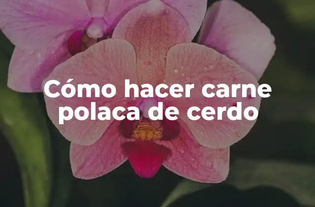 Cómo Hacer Carne Polaca de Cerdo