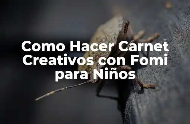 Como Hacer Carnet Creativos con Fomi para Niños 2 ¿Qué es un Carnet Creativo con Fomi para Niños?