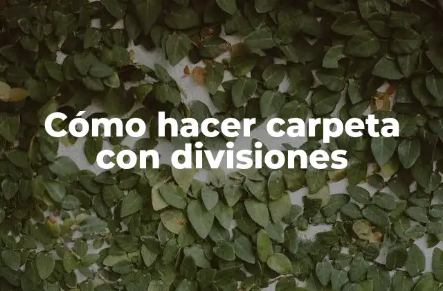 Cómo Hacer Carpeta con Divisiones