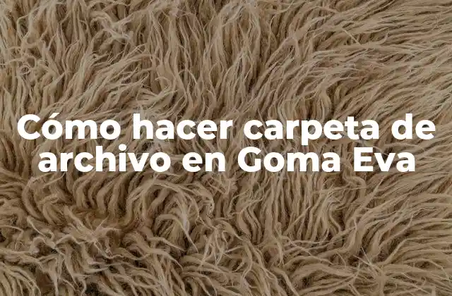 Cómo Hacer Carpeta de Archivo en Goma Eva