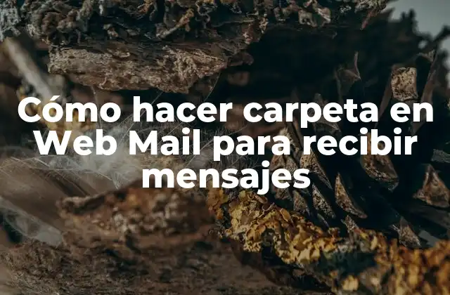 Cómo Hacer Carpeta en Web Mail para Recibir Mensajes
