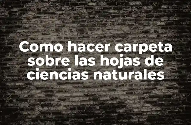 Como Hacer Carpeta sobre las Hojas de Ciencias Naturales