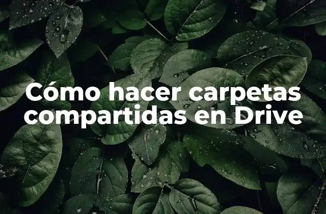 Cómo Hacer Carpetas Compartidas en Drive