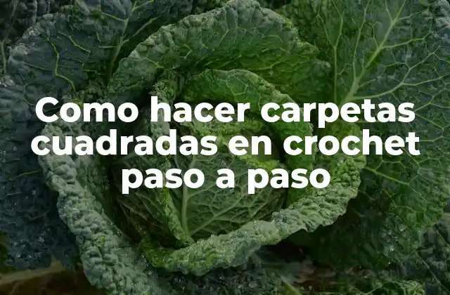Como Hacer Carpetas Cuadradas en Crochet Paso a Paso
