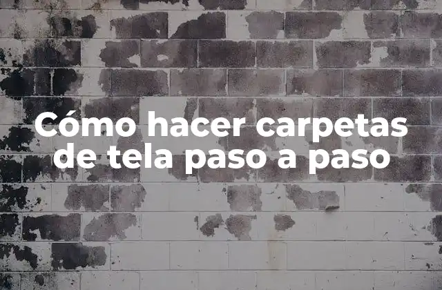 Cómo hacer carpetas de tela paso a paso