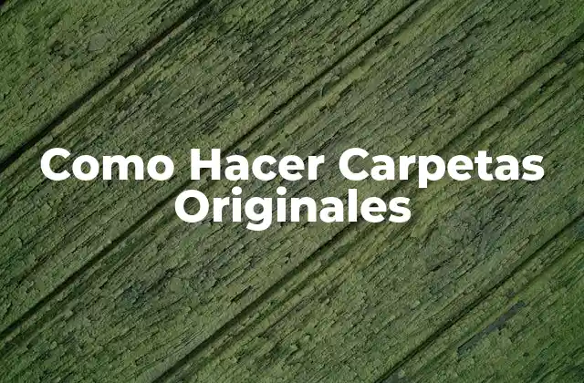 Como Hacer Carpetas Originales