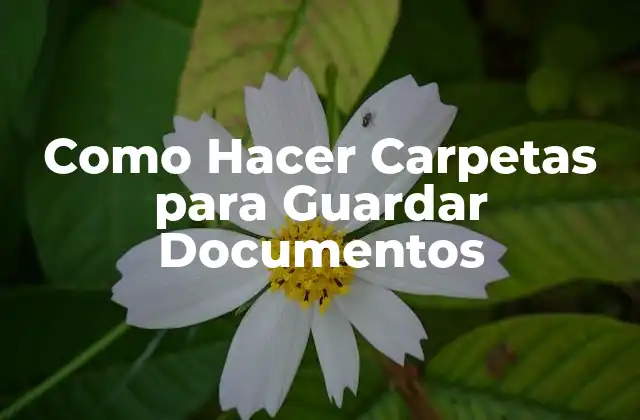 Como Hacer Carpetas para Guardar Documentos