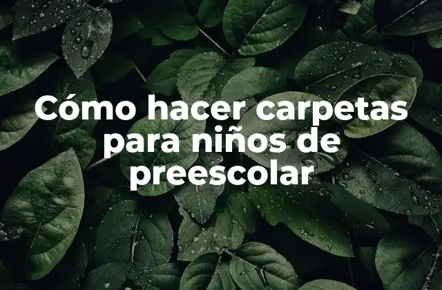 Cómo Hacer Carpetas para Niños de Preescolar