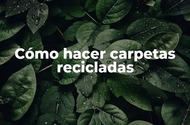 Cómo hacer carpetas recicladas