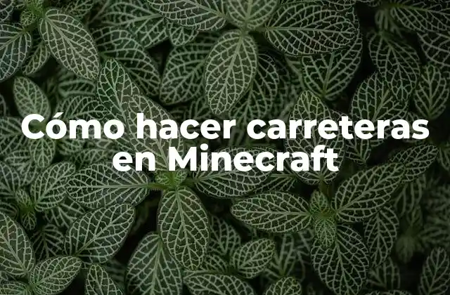Cómo Hacer Carreteras en Minecraft
