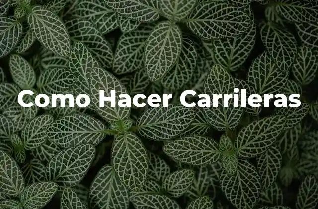 Como Hacer Carrileras